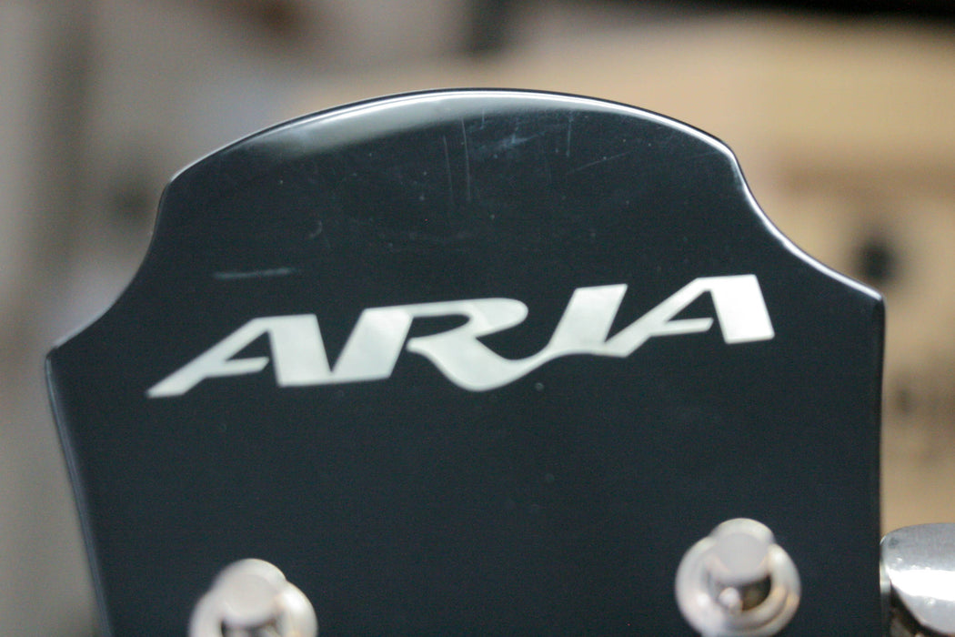 Aria Pro II FA50E Hollowbody Electric Guitar w/Case - Preowned