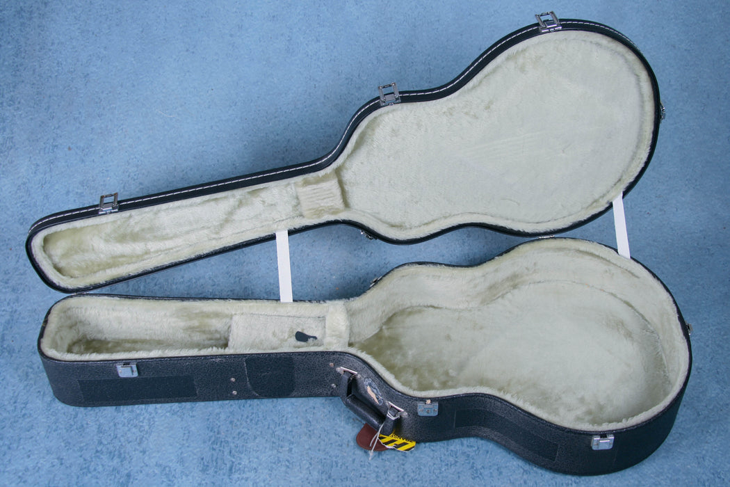 Aria Pro II FA50E Hollowbody Electric Guitar w/Case - Preowned