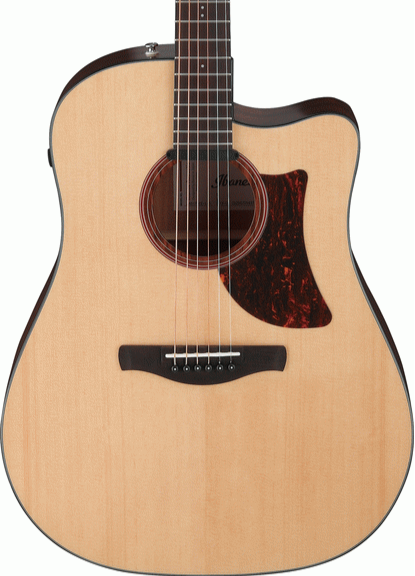 Ibanez AAD170CE LGS Advanced Acoustic - Clearance