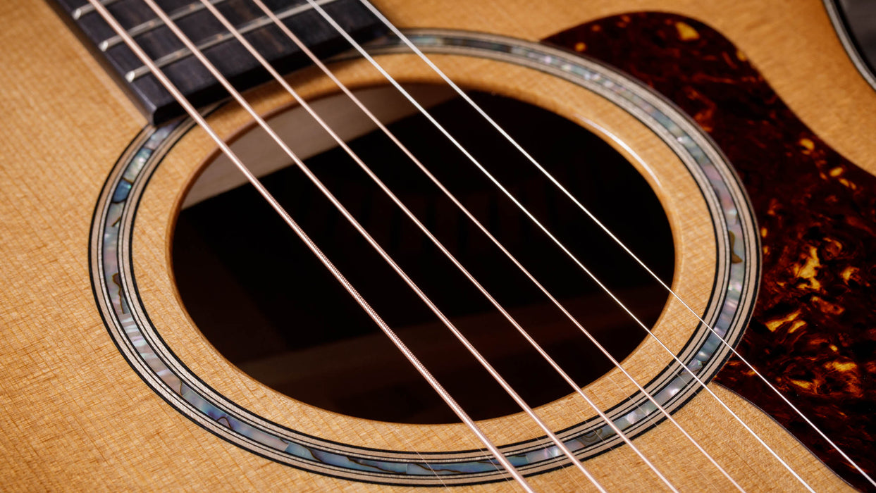 Taylor 512ce Grand Concert Acoustic Electric Guitar