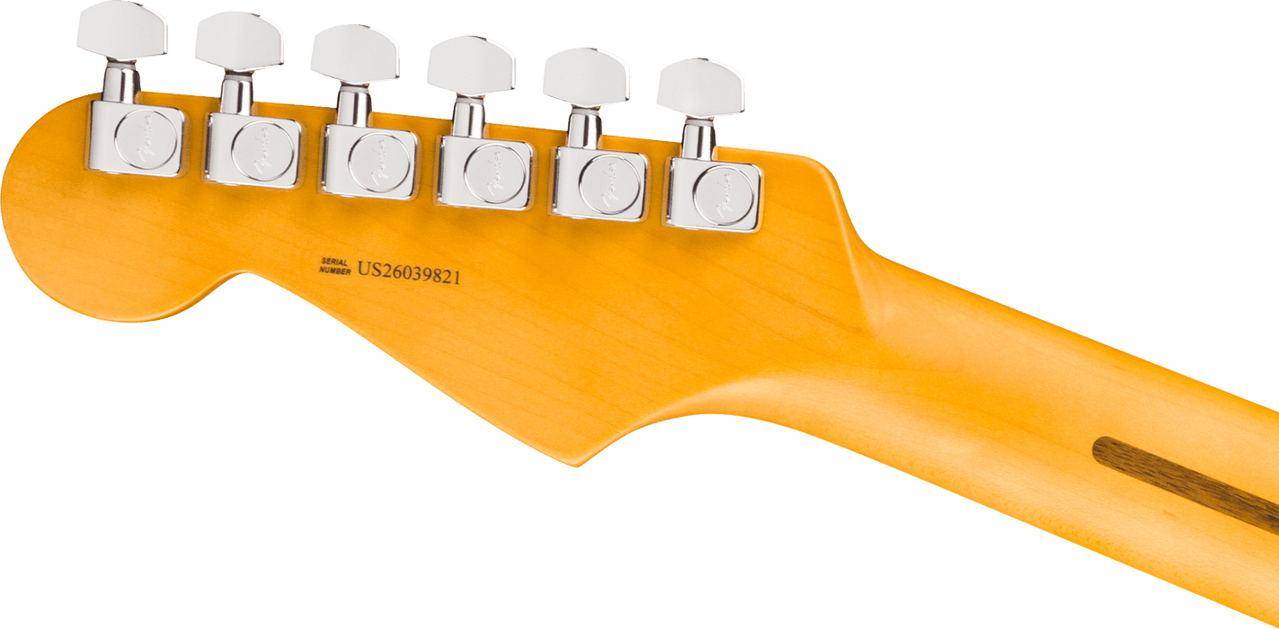 Fender American Professional Stratocaster Maple Fingerboard Electric Guitar - Black