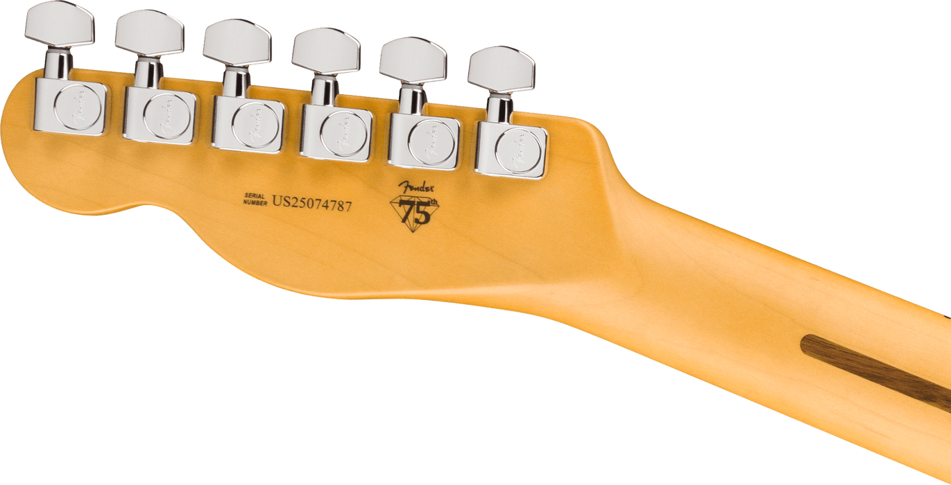 Fender American Professional Telecaster Maple Fingerboard Electric Guitar - Oxblood