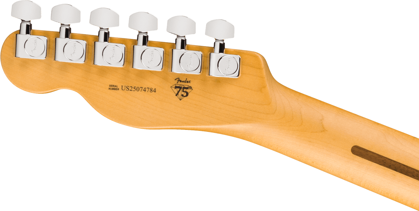 Fender American Professional Telecaster Maple Fingerboard Electric Guitar - Butterscotch Blonde