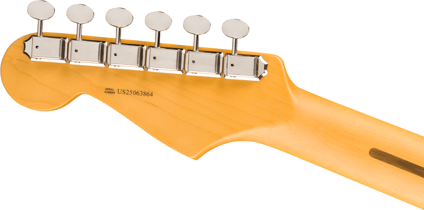 Fender American Professional Classic Stratocaster HSS Maple Fingerboard - Faded Black