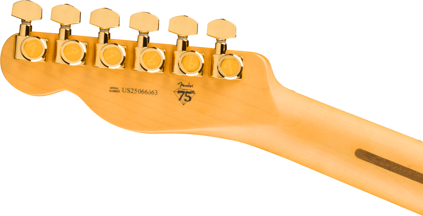 Fender 75th Anniversary American Professional Custom Telecaster Maple Fingerboard - 2-Color Sunburst