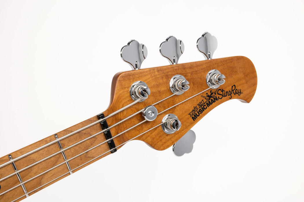 Ernie Ball Music Man StingRay Special HH Bass Guitar - Black