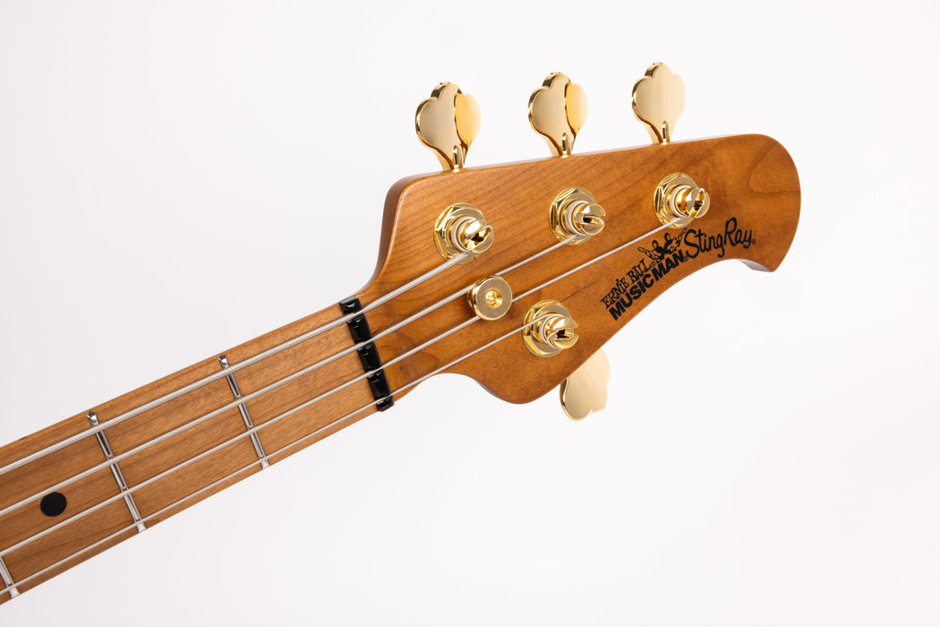 Ernie Ball Music Man StingRay Special HH Bass Guitar - Jackpot