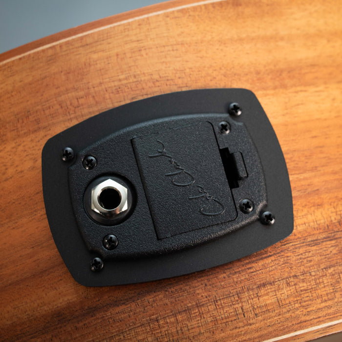 Cole Clark FL3EC-HB Huon Pine Dreadnought w/Case - Preowned