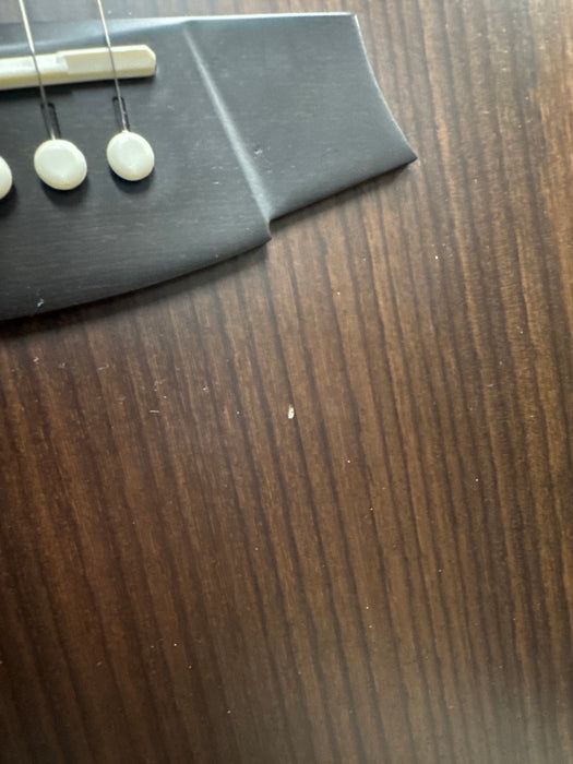 Cole Clark RAN2EC-RRE Recording Series All Rosewood Acoustic Electric Guitar - B-Stock - 2606427