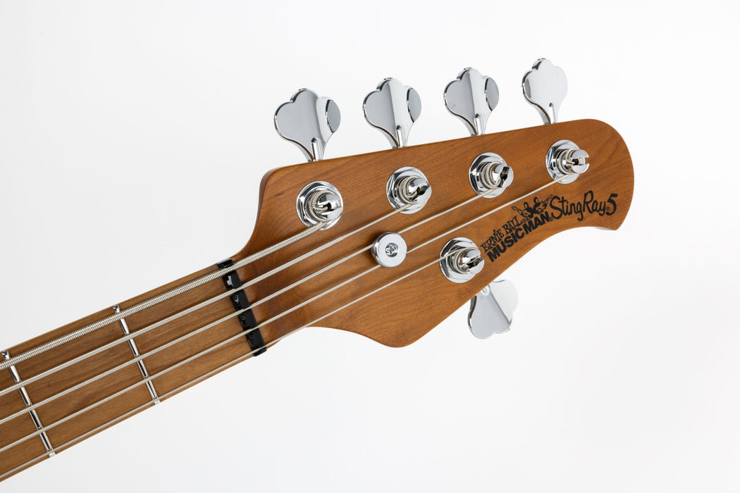 Ernie Ball Music Man StingRay Special 5 Bass Guitar - Black