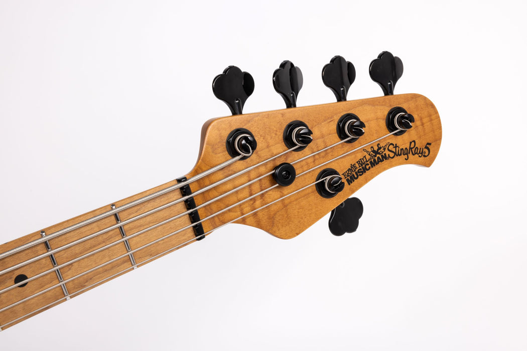 Ernie Ball Music Man StingRay Special 5 HH Bass Guitar - Black Rock