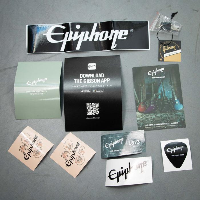 Epiphone Adam Jones Les Paul Art Collection Julie Heffernan's 'Self-Portrait As Not Dead Yet' w/Case - Antique Silverburst - Preowned