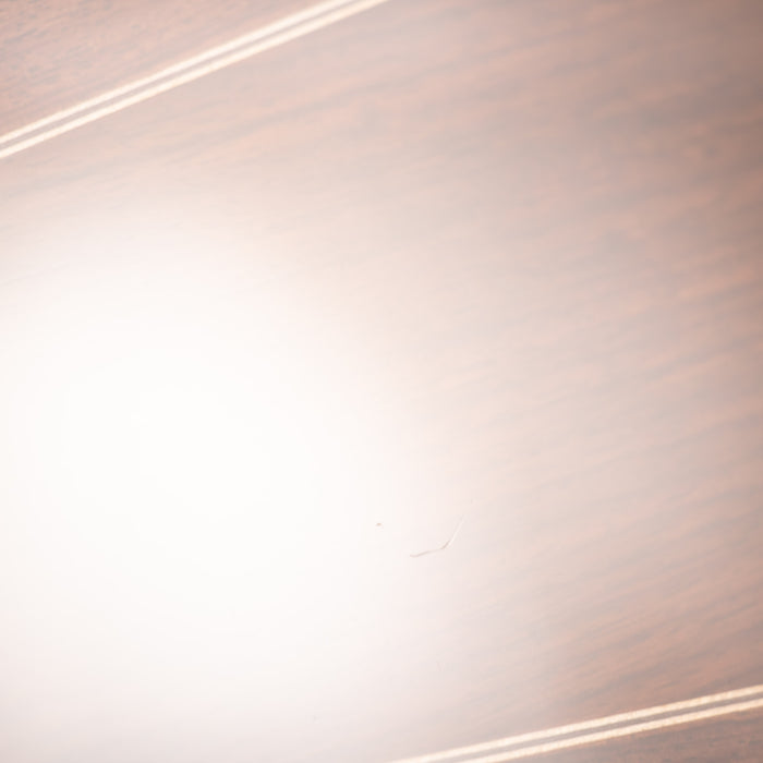 Martin 2023 M-36 Acoustic Guitar w/Case - Preowned