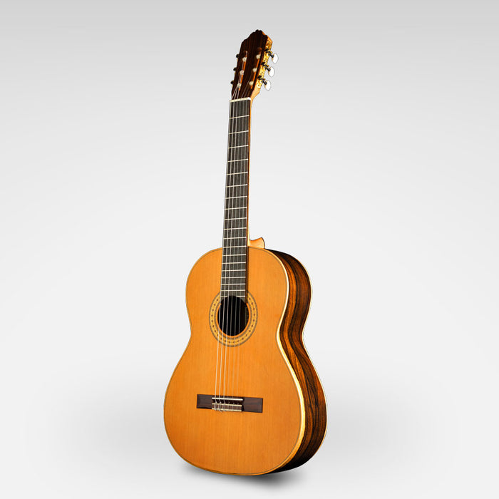 Esteve Model 3Z Cedar Top Ziricote Classical Guitar