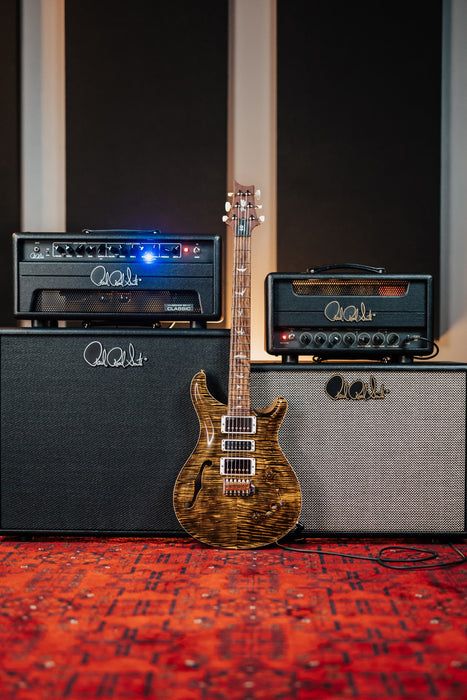 PRS 40th Anniversary Special Semi-Hollow Limited Edition Electric Guitar - Yellow Tiger