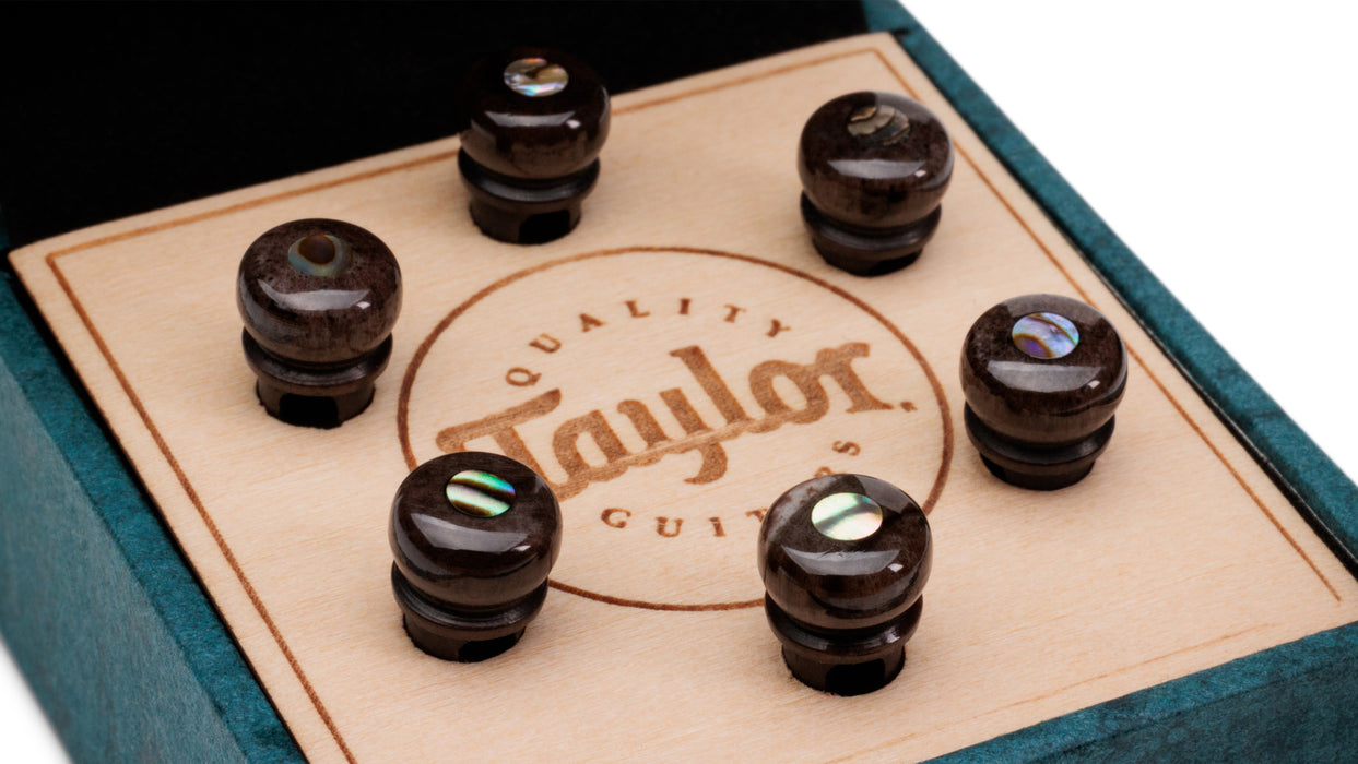 Taylor Custom Bridge Pin Set - Brown with Abalone