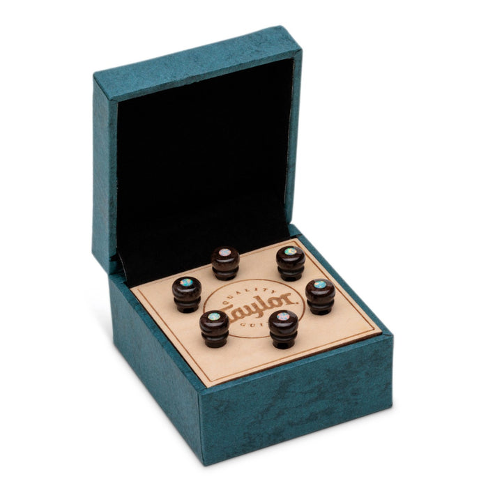 Taylor Custom Bridge Pin Set - Brown with White Australian Opal