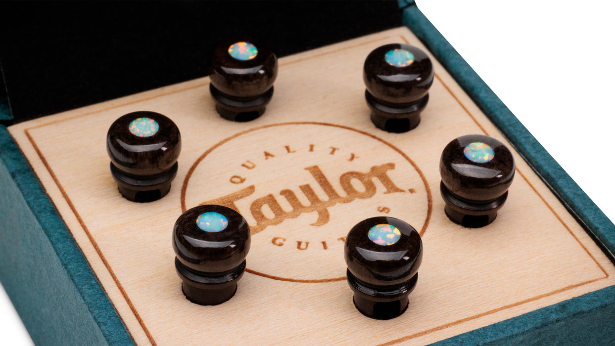 Taylor Custom Bridge Pin Set - Brown with White Australian Opal