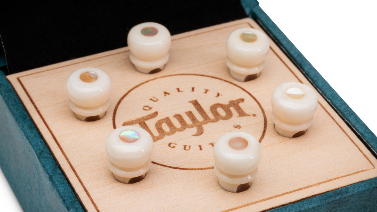 Taylor Custom Bridge Pin Set - White with Awabi Shell