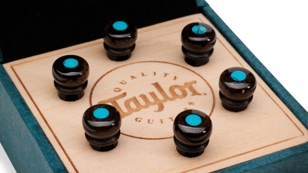 Taylor Custom Bridge Pin Set - Brown with Turquoise