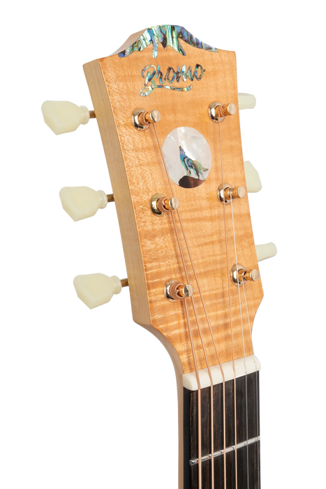 Bromo BAN7E Jumbo Acoustic-Electric Guitar w/Bag & Stand
