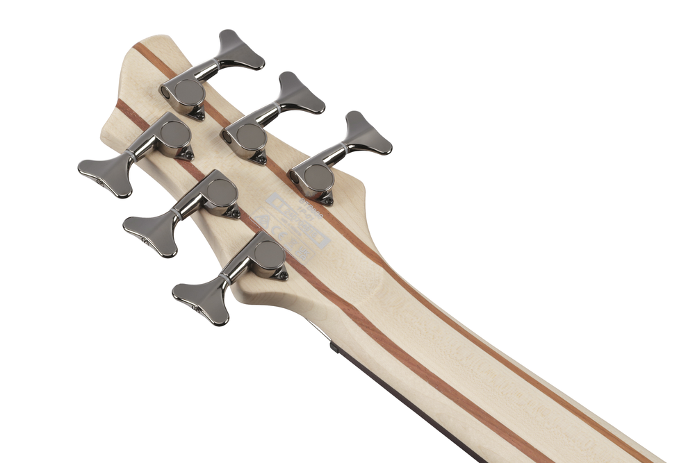 Ibanez BTB606 TGF 6 String Electric Bass - Transparent Gray Flat