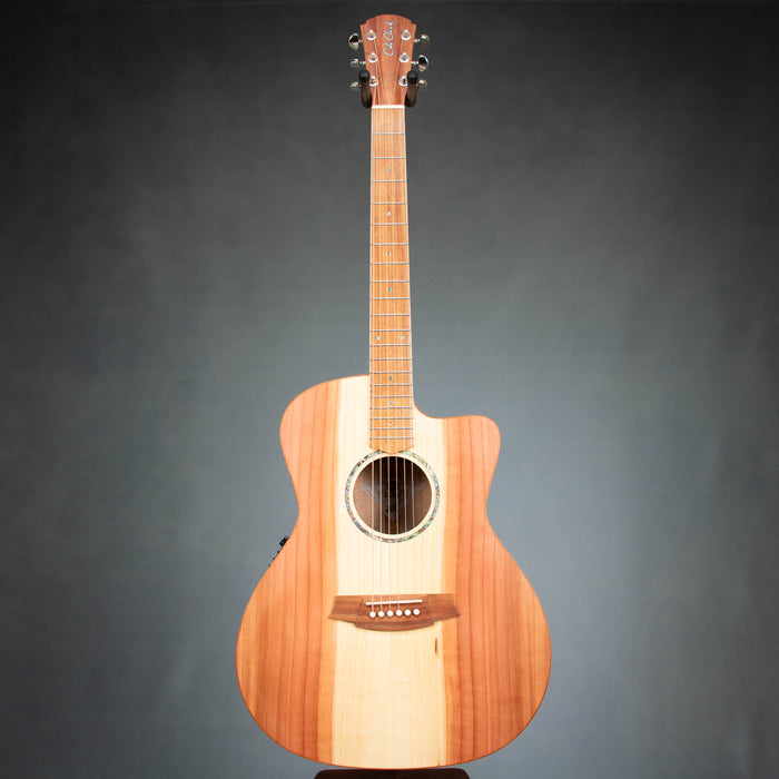 Cole Clark SAN1EC-RDM Studio Series Grand Auditorium Acoustic Electric Guitar - 26033119