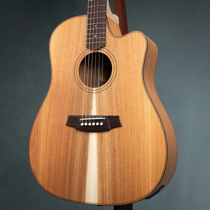 Cole Clark FL2EC-BLBLR Touring Series Dreadnought - 260540183