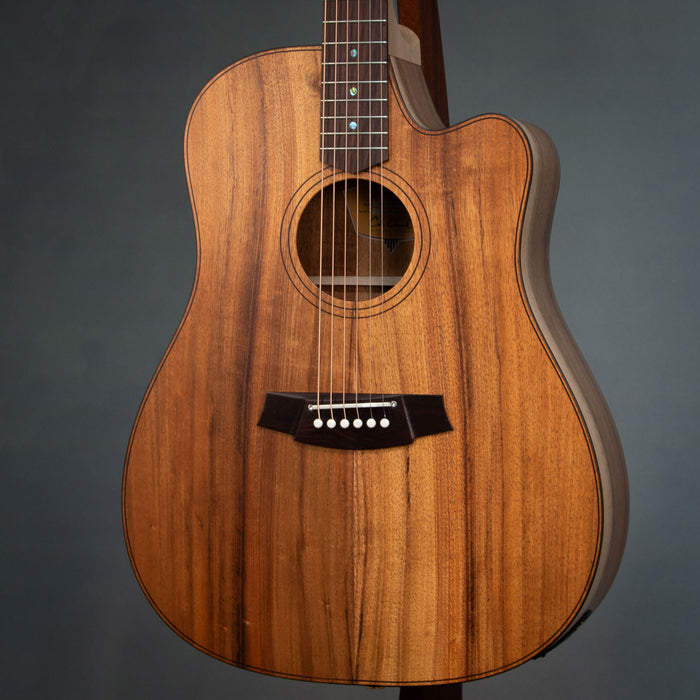 Cole Clark FL2EC-BLBLR Touring Series Dreadnought