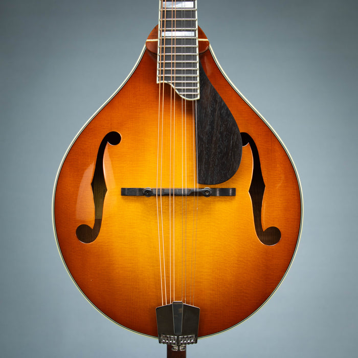 Eastman MD605-GB A Style F-Hole Electric Mandolin - Goldburst - N2500481