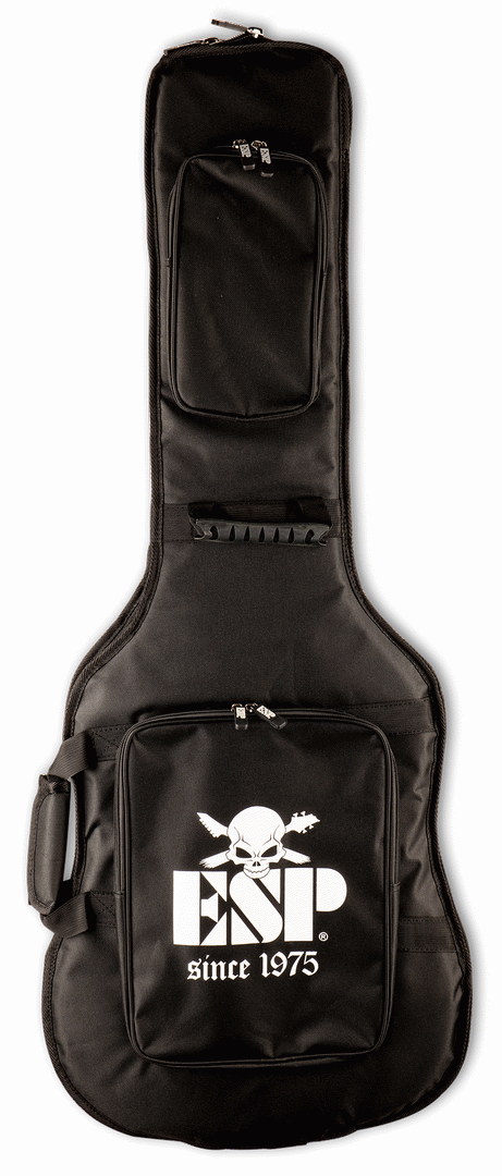 Esp gig bag sale
