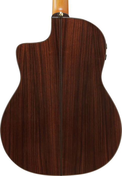 Ibanez GA380CE Nylon Guitar - Natural High Gloss