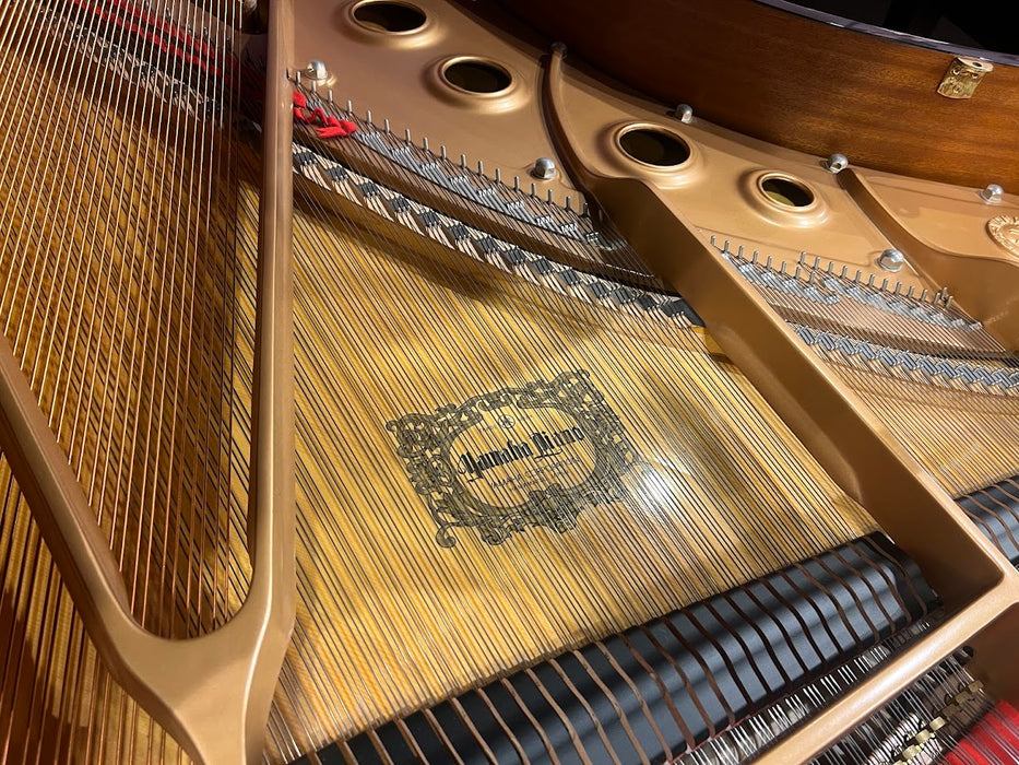 Yamaha C5 200cm Preowned Grand Piano 5590349 - Polished Ebony