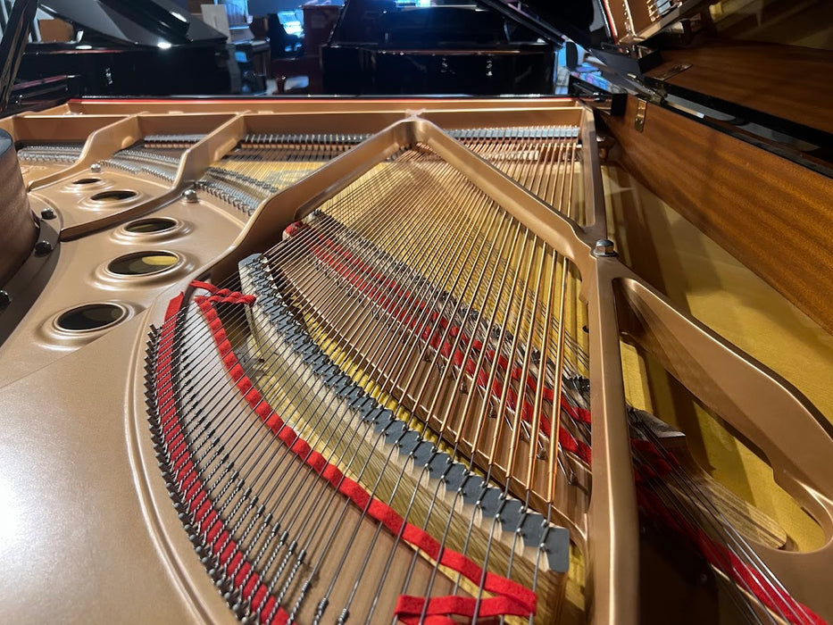 Yamaha C5 200cm Preowned Grand Piano 5590349 - Polished Ebony