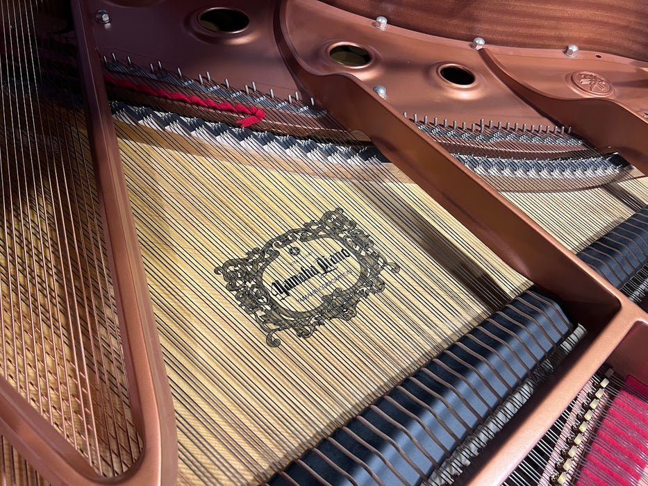 Yamaha GC1MPE 161cm Preowned Grand Piano 6433742 - Polished Ebony