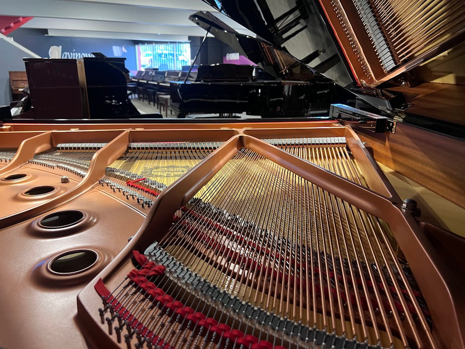 Yamaha GC1MPE 161cm Preowned Grand Piano 6433742 - Polished Ebony