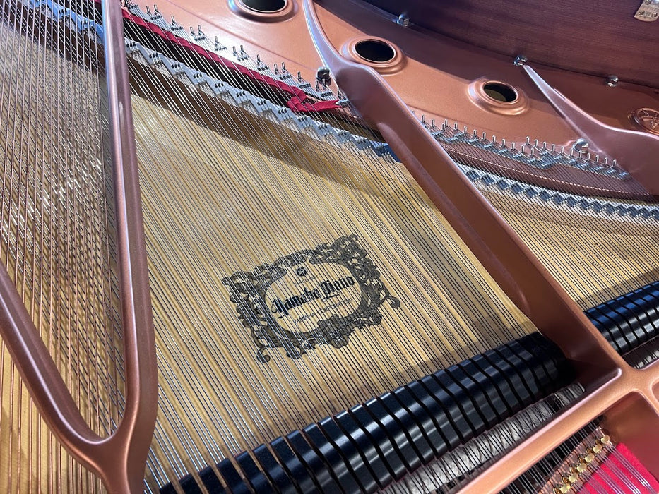 Yamaha C7X 227cm Preowned Grand Piano - Polished Ebony