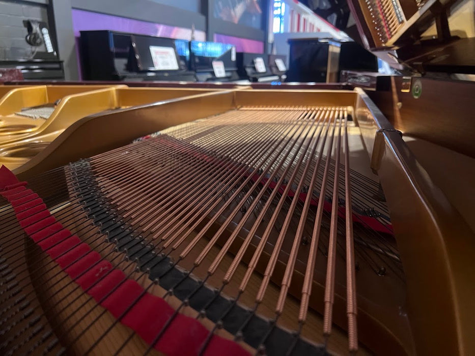 Alex Steinbach SIG61DL 186cm Preowned Grand Piano - Polished Mahogany