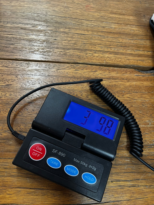 Eastman Juliet LA Electric Guitar - Celestine Blue - 12757778