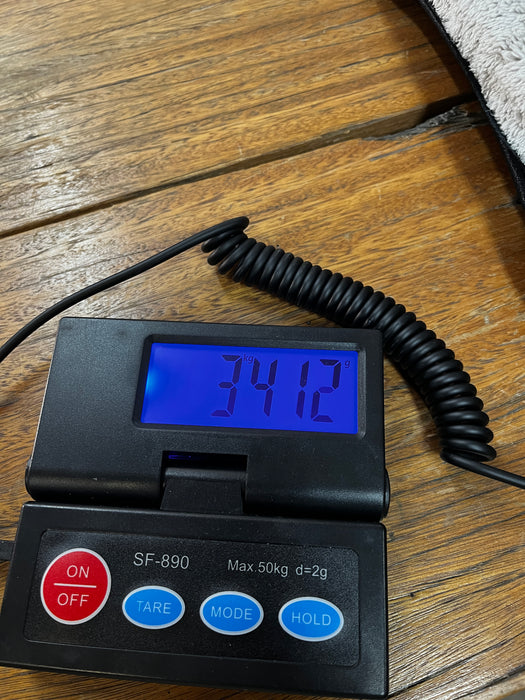 Eastman SB55/TV-LTD-PB Electric Guitar - Pomona Blonde - K2401256