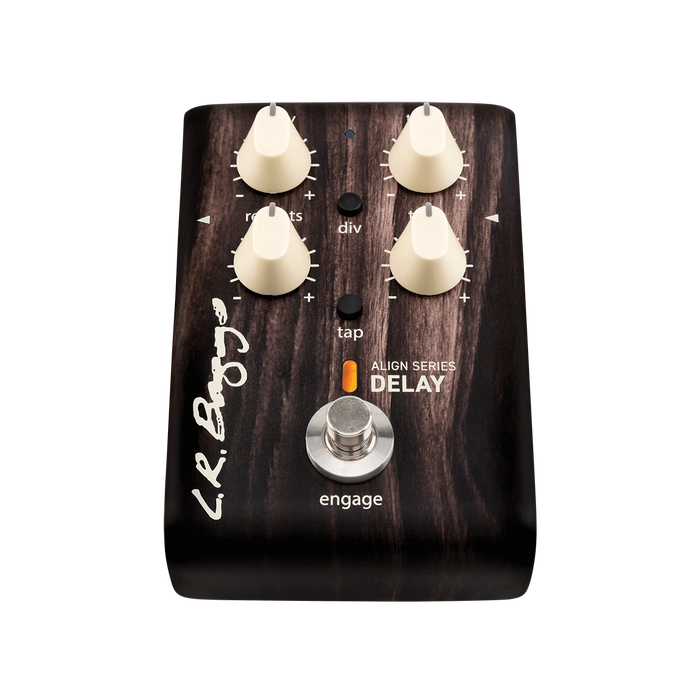 LR Baggs Align Delay Pedal
