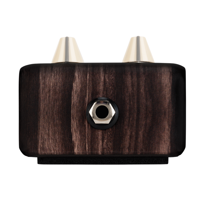 LR Baggs Align Delay Pedal