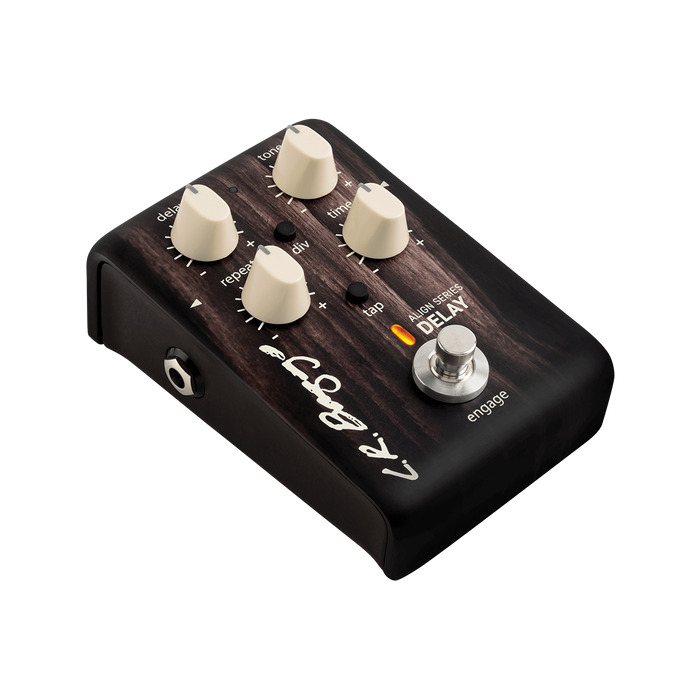 LR Baggs Align Delay Pedal