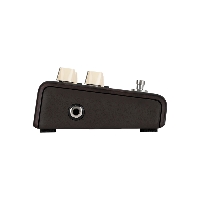 LR Baggs Align Delay Pedal