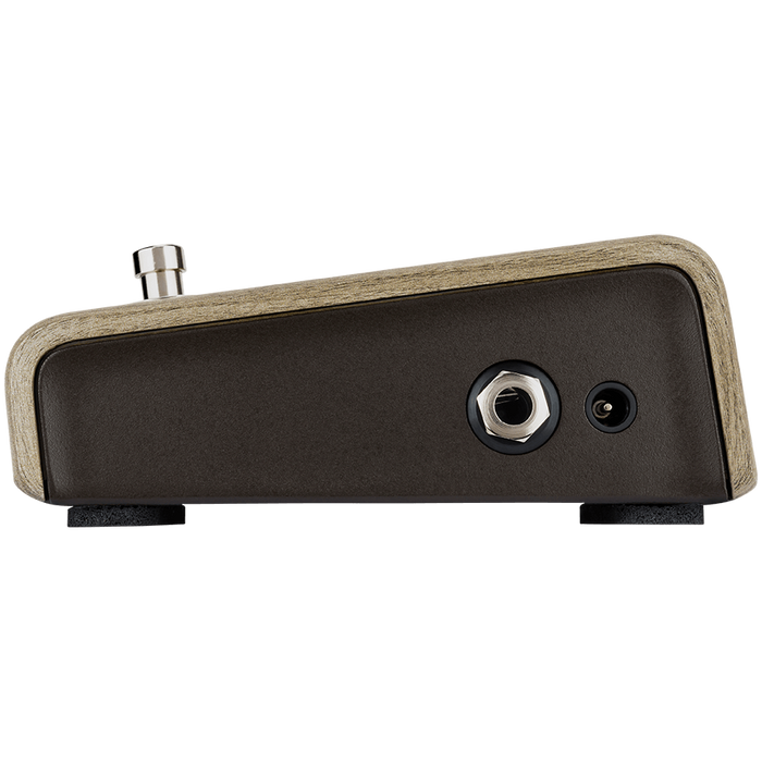 LR Baggs Align Active DI