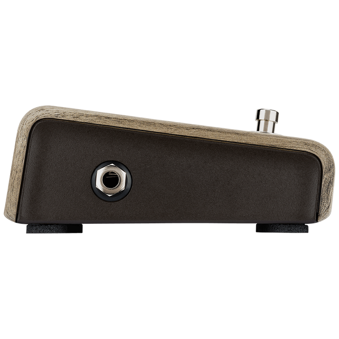 LR Baggs Align Active DI