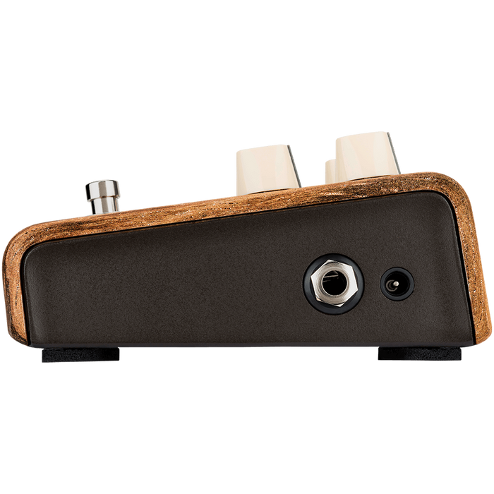 LR Baggs Align Session Pedal