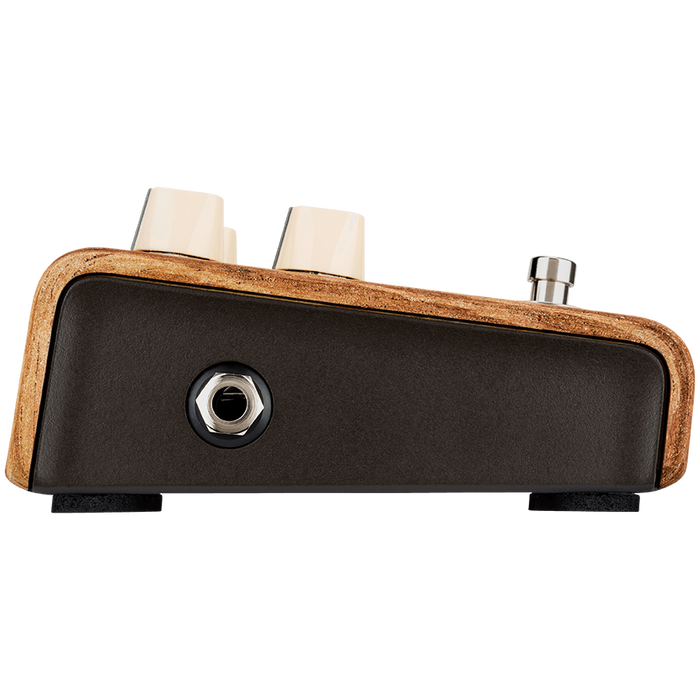 LR Baggs Align Session Pedal