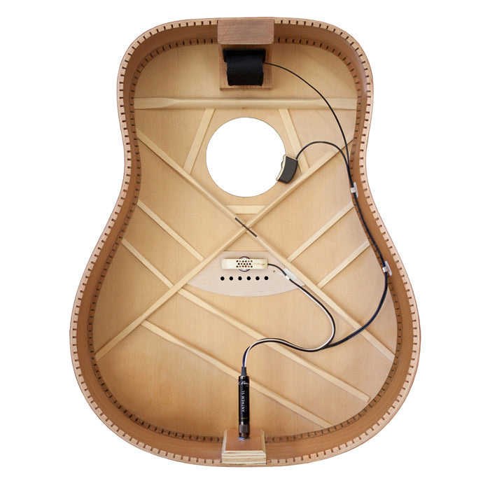 LR Baggs Anthem SL Acoustic Guitar Pickup System with Element & Microphone