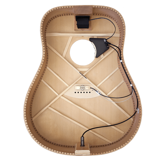 LR Baggs Anthem Acoustic Guitar Pickup System with Element & Microphone